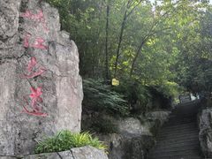 -铁山坪森林公园