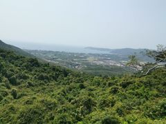 -亚龙湾热带天堂森林公园