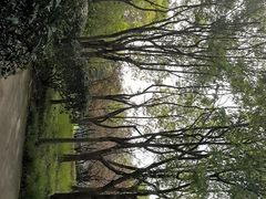 -长广溪湿地公园