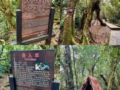 -云南屏边大围山国家公园