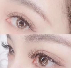 -恐龙·美甲美睫