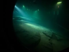 -白鹤梁水下博物馆