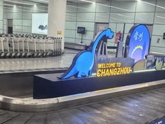 -常州奔牛国际机场