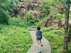 -黎坪国家森林公园
