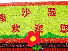 -大湾区中央湿地公园