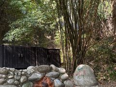 -三江森林温泉度假区