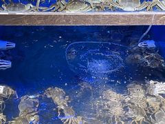 -蟹小姐节气生鲜·年货(高新店)
