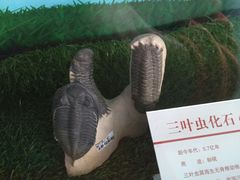 -中国第四纪冰川遗迹陈列馆