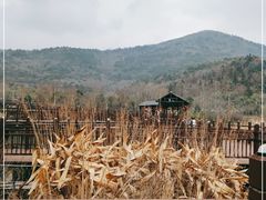 -石塘人家