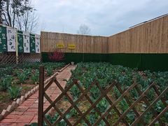 -苏记溪河鲢鱼庄(天府新区店)