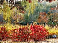 -大兴滨河森林公园