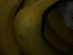 -叶氏兄弟果业(文二西路店)