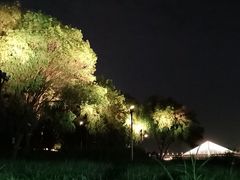 -武汉两江游览·夜游长江(汉口粤汉码头)