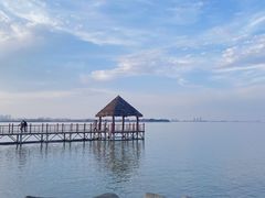 -瑶湖郊野森林公园