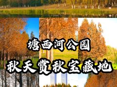 -滨湖塘西河公园