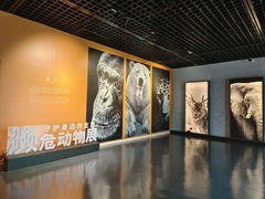 -中国湿地博物馆