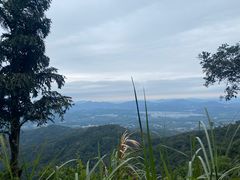 -广州市帽峰山景区