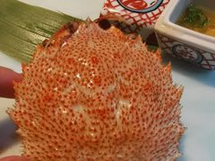 -森味薪火烧•烧鸟居酒屋•日本料理(望京店)