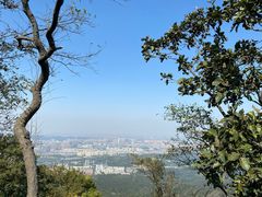 -紫金山山顶公园