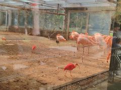 -石家庄市动物园