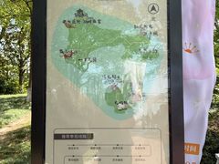 -金鸡湖桃花岛
