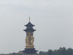 -溱湖国家湿地公园