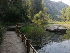 -白河湾生态旅游一条川