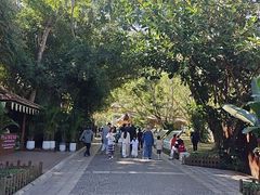 -野象谷景区