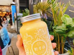 -野萃山·潮汕厚果汁(十亩地店)