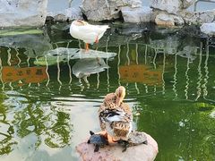 -龙华寺