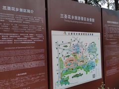 -三圣花乡旅游区