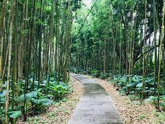 -福建鲤鱼洲酒店