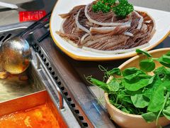 -海底捞火锅(万达广场店)