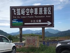 -空中草原
