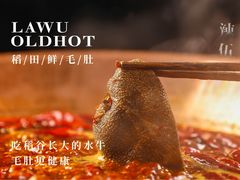 -辣伍鲜毛肚老火锅(元一店)