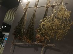 -东方之珠KTV娱乐超市(河北店)