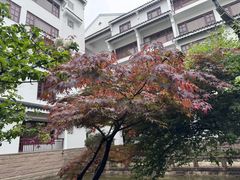 -苏州吴宫泛太平洋酒店