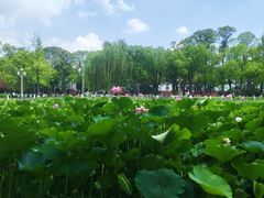 -四川大学(望江校区)