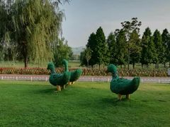 -羊亭河湿地公园