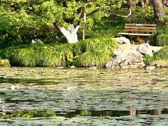 -杭州植物园