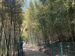 -四门塔风景区