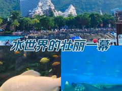 -珠海长隆海洋王国