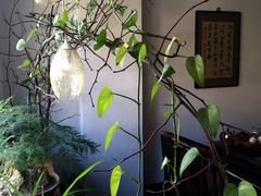 -皇城根茶馆(兴隆都市馨园店)