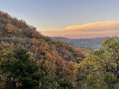 -北京西山国家森林公园