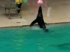 -西安秦岭野生动物园