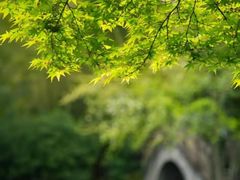 -棠湖公园