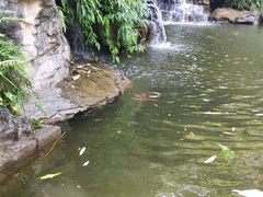 -重庆彩云湖湿地公园