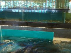 -都市阳光海鲜城(青山湖店)