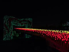 -长春公园(普阳街道)