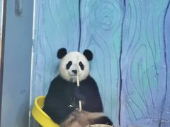 -海南热带野生动植物园